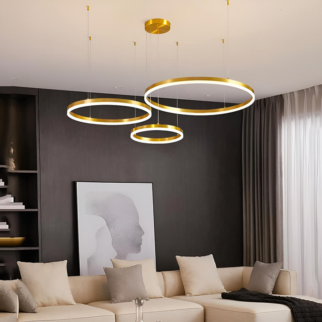 Black LED Stainless Steel, Ring Shaped Ceiling Chandelier | hausgem